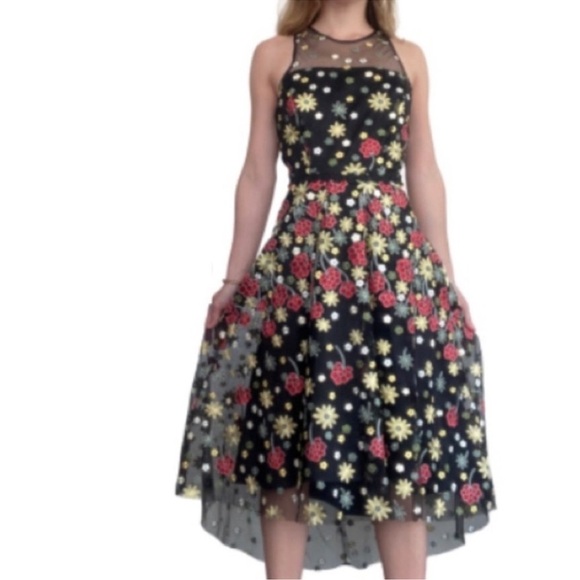 NWT Alex Marie Lindsey Floral Mesh Embroidered Fit&Flare Cocktail Midi Dress Sz6 - Picture 2 of 11